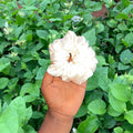 Luxurious Silk Satin Cream Scrunchie - Elegant Soft Elastic Hair Tie