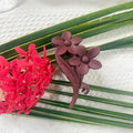 Brown Twin Flora Clutch